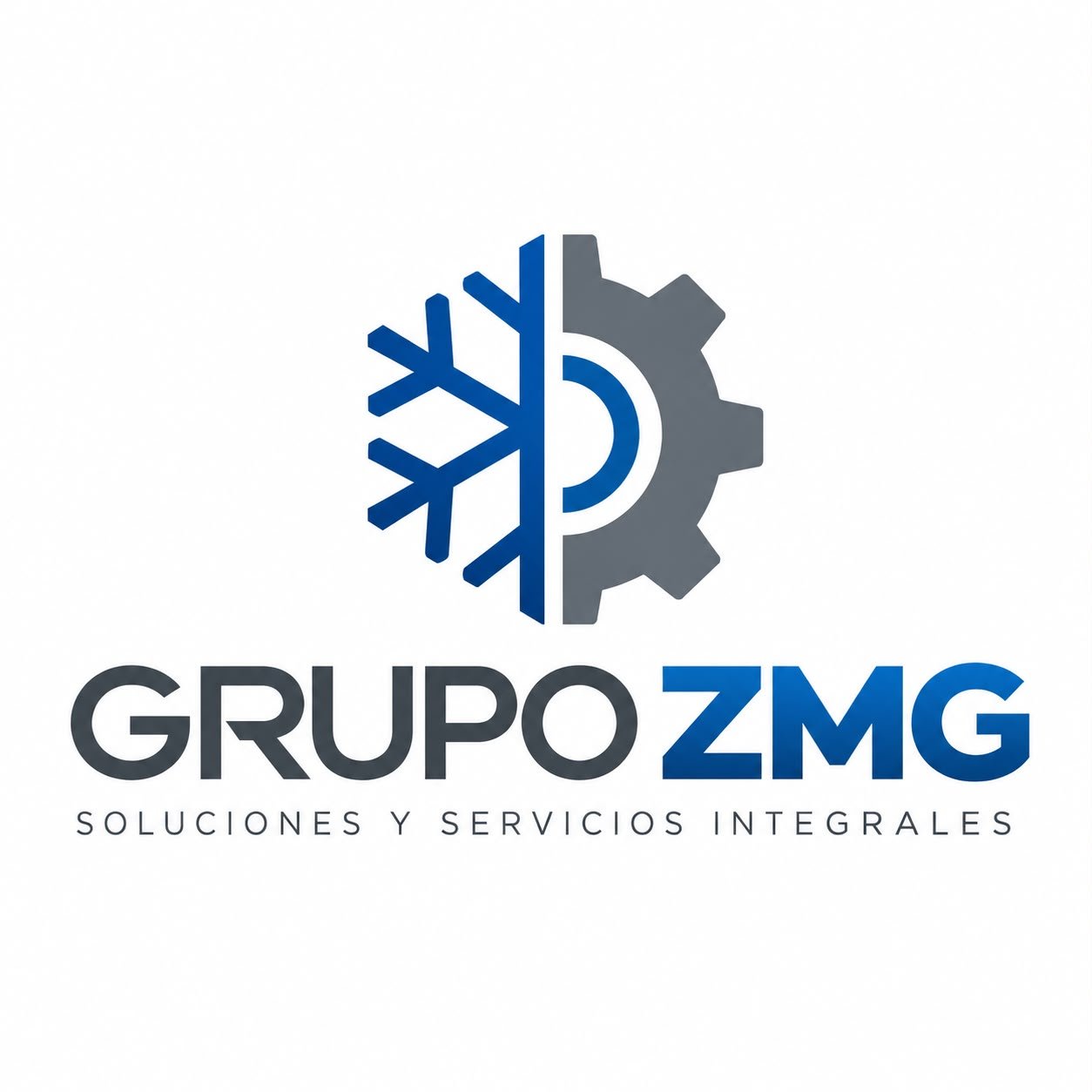 Soluciones y Servicios integrales Guadalajara